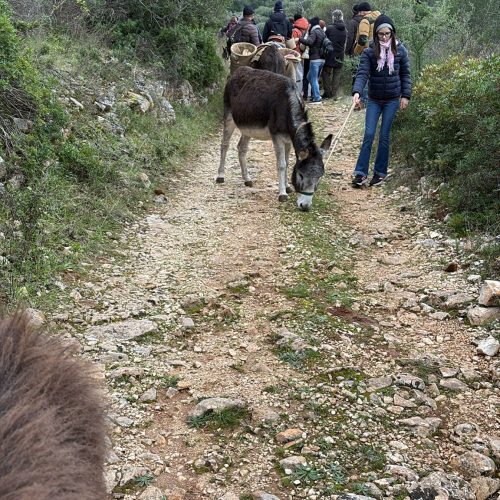 IMG-20251207-WA0080
